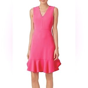 Stunning Rebecca Taylor Fuchsia Flutter Dress